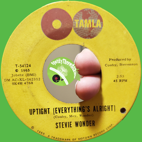 Stevie Wonder - SpotifyThrowbacks.com